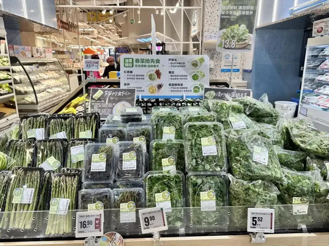 广深热销!板蓝根青菜为何异军突起 广深热销!板蓝根青菜为何异军突起