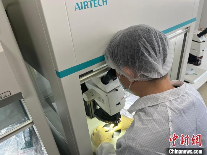 嫦娥六号“土特产”新发现 月球岩浆洋模型首添月背证据 嫦娥六号“土特产”新发现 月球岩浆洋模型首添月背证据