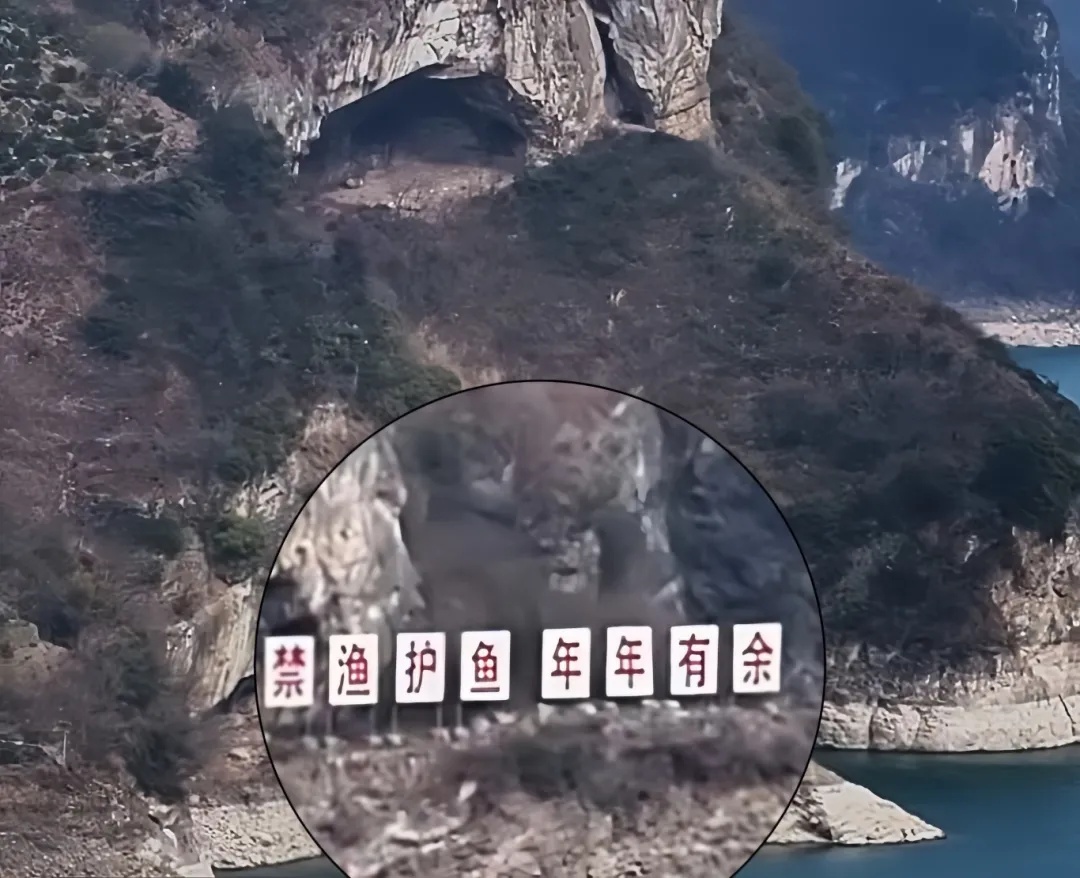 火爆全网的"小狗山"是真的！