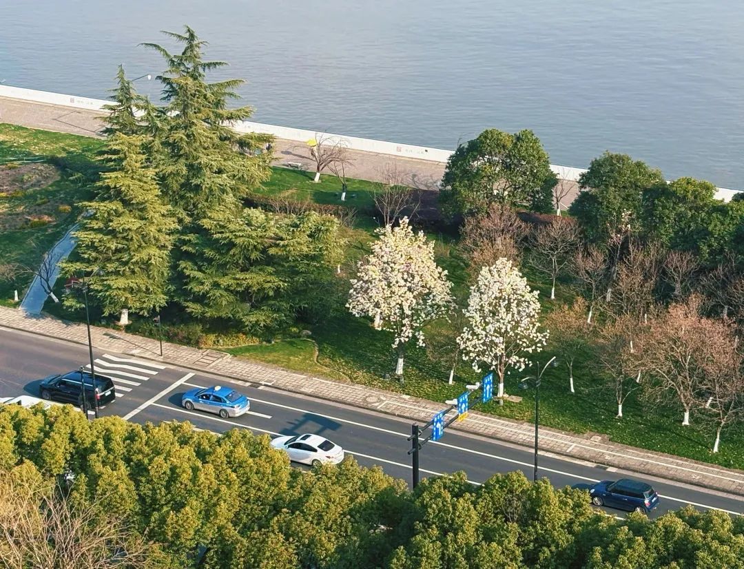 热热热!杭州人热懵了!大反转马上到,下周要下雪...... 热热热!杭州人热懵了!大反转马上到,下周要下雪......