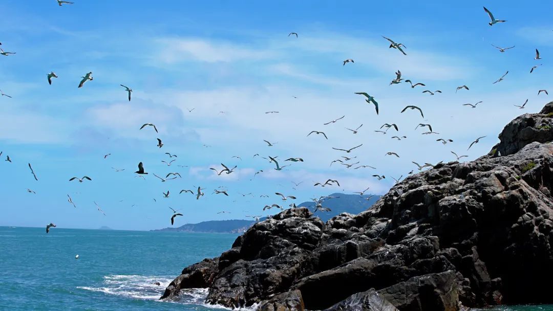 日薪300元,住“海景房”!这是什么“神仙工作”? 日薪300元,住“海景房”!这是什么“神仙工作”?