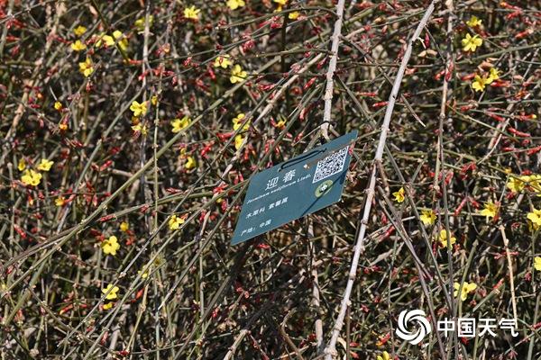 17℃！北京今日气温创今年以来新高 周末又降温厚衣服还不能收
