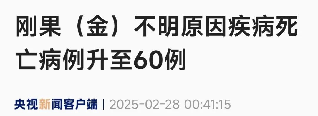 3名幼童分食死蝙蝠后身亡！刚果（金）相关死亡病例已升致60人…