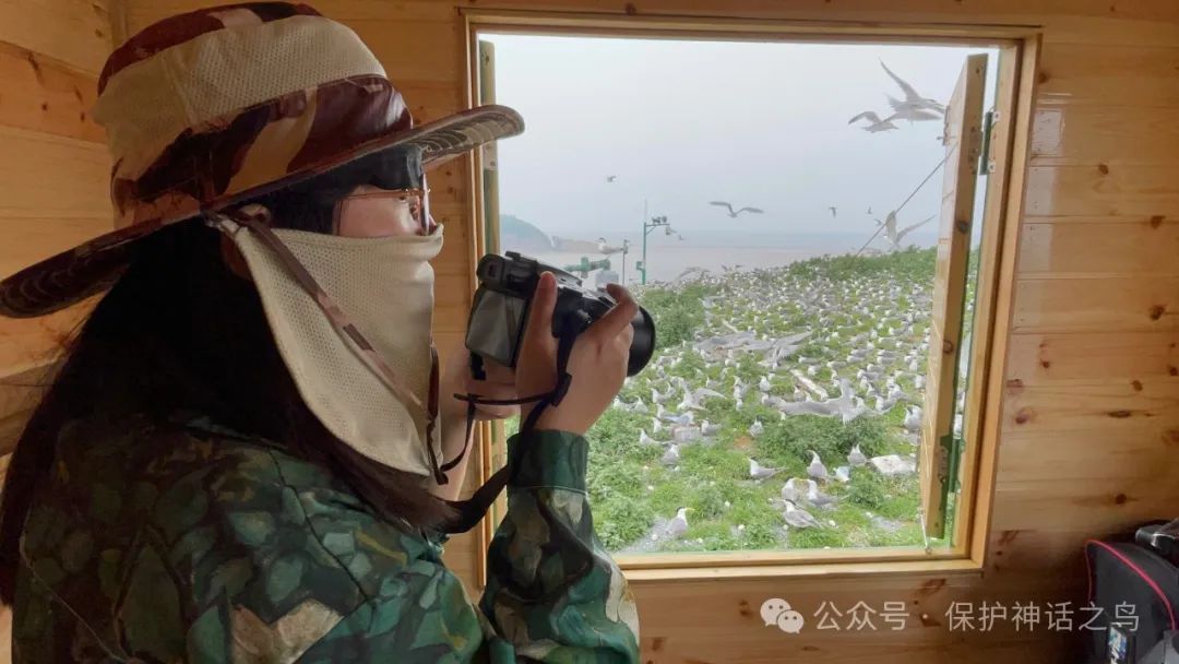 日薪300元,住“海景房”!这是什么“神仙工作”? 日薪300元,住“海景房”!这是什么“神仙工作”?