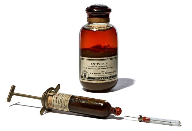 神出鬼没,每年导致40万人截肢,这种动物被联合国列入“危险疾病名单” 神出鬼没,每年导致40万人截肢,这种动物被联合国列入“危险疾病名单”