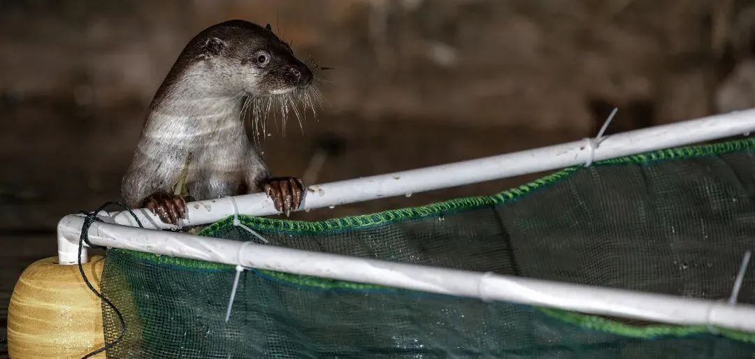 日薪300元,住“海景房”!这是什么“神仙工作”? 日薪300元,住“海景房”!这是什么“神仙工作”?