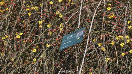 17℃！北京今日气温创今年以来新高 周末又降温厚衣服还不能收