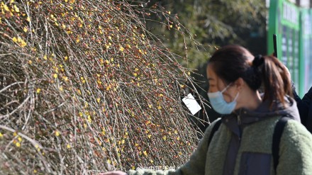 17℃！北京今日气温创今年以来新高 周末又降温厚衣服还不能收