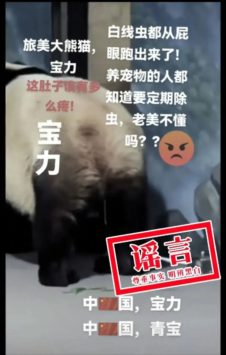 大熊猫“宝力”遭虐待?官方辟谣来了 大熊猫“宝力”遭虐待?官方辟谣来了