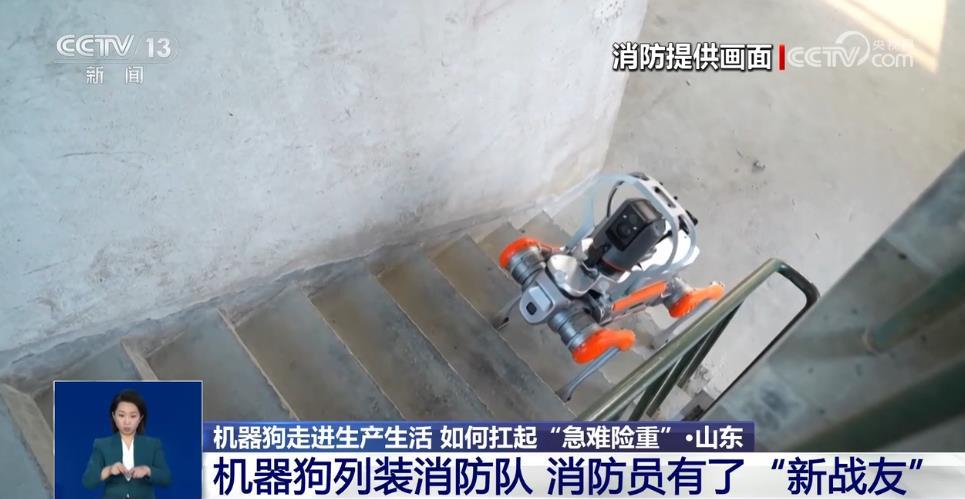 火场救援、南极作业、陪伴护理……这个“机器狗”，大有来头