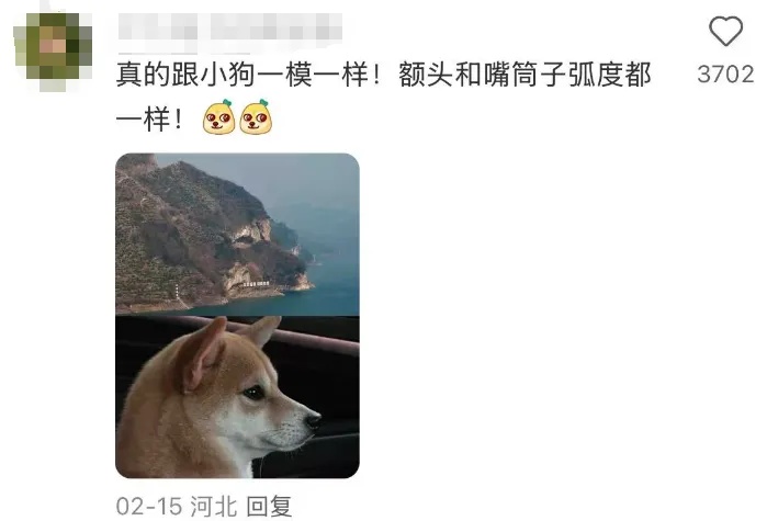 火爆全网的"小狗山"是真的！