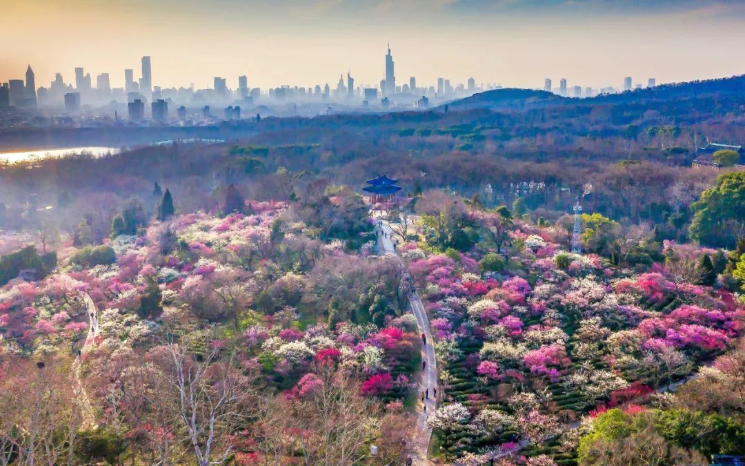 每天走多少步最好? 每天走多少步最好?