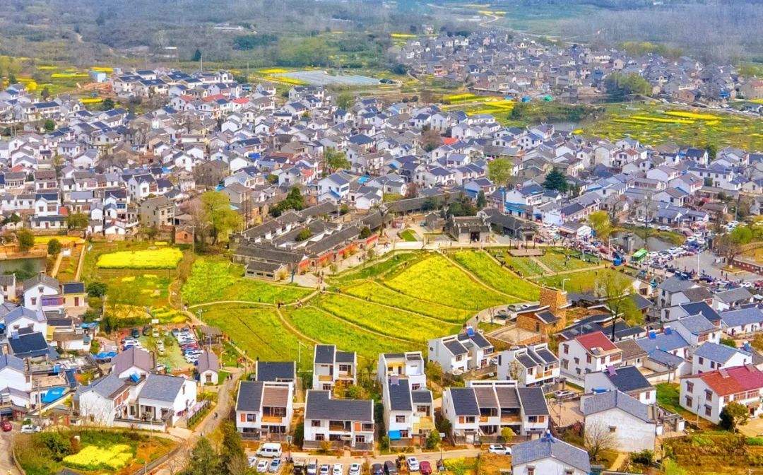 每天走多少步最好? 每天走多少步最好?