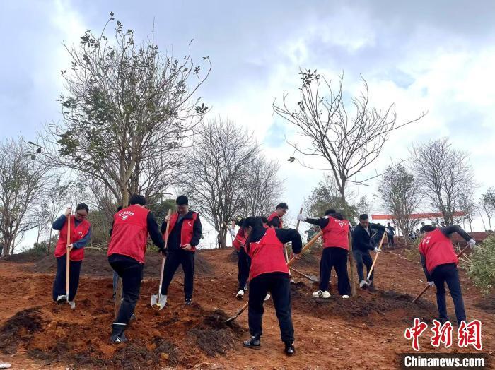 广西连续16年每年植树造林超300万亩