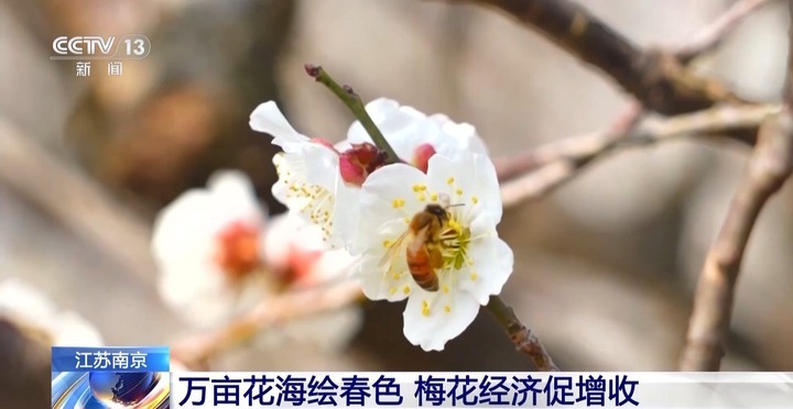 风和日暖 春天就该徜徉在花海里~ 风和日暖 春天就该徜徉在花海里~