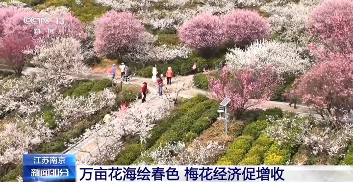 风和日暖 春天就该徜徉在花海里~ 风和日暖 春天就该徜徉在花海里~