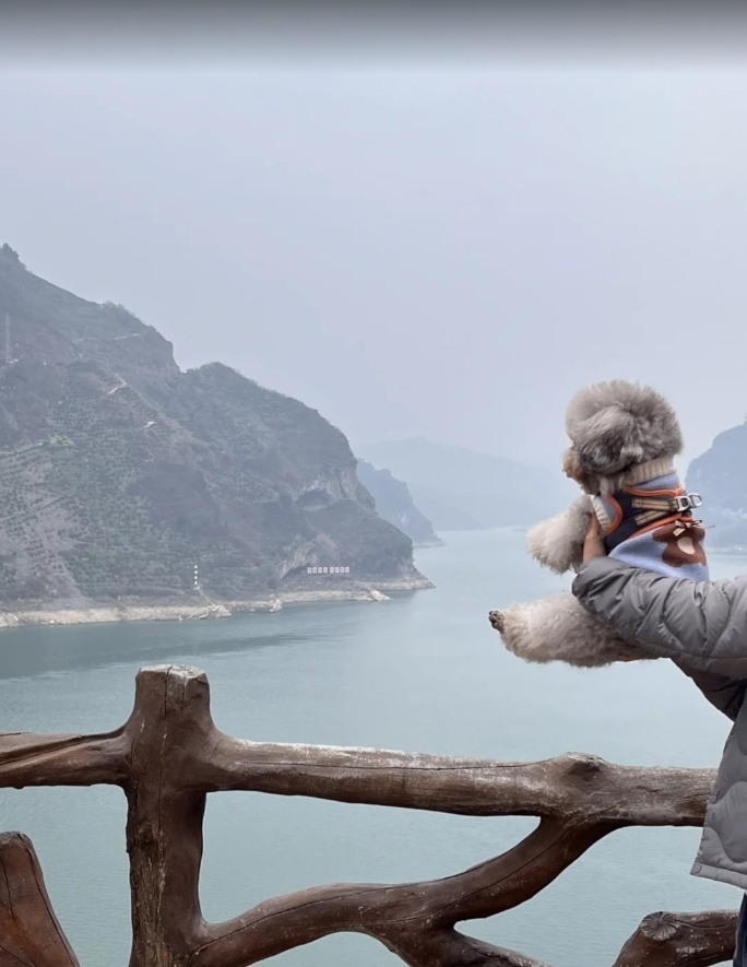 爆火刷屏的“小狗山”大揭秘！附打卡攻略