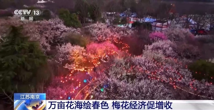 风和日暖 春天就该徜徉在花海里~ 风和日暖 春天就该徜徉在花海里~