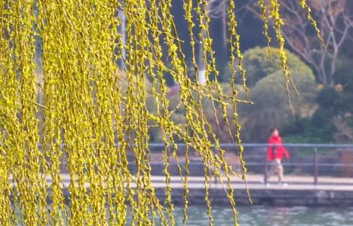 每天走多少步最好? 每天走多少步最好?