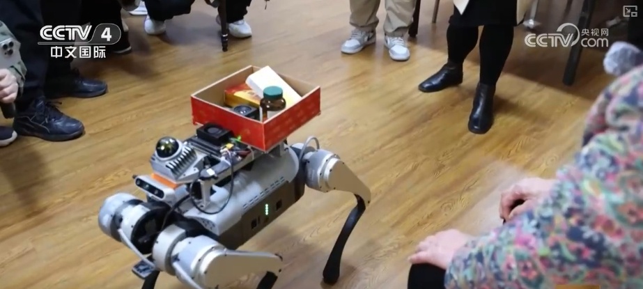 银发经济活力迸发 “AI+养老”助力银发族“智”享“夕阳红” 银发经济活力迸发 “AI+养老”助力银发族“智”享“夕阳红”