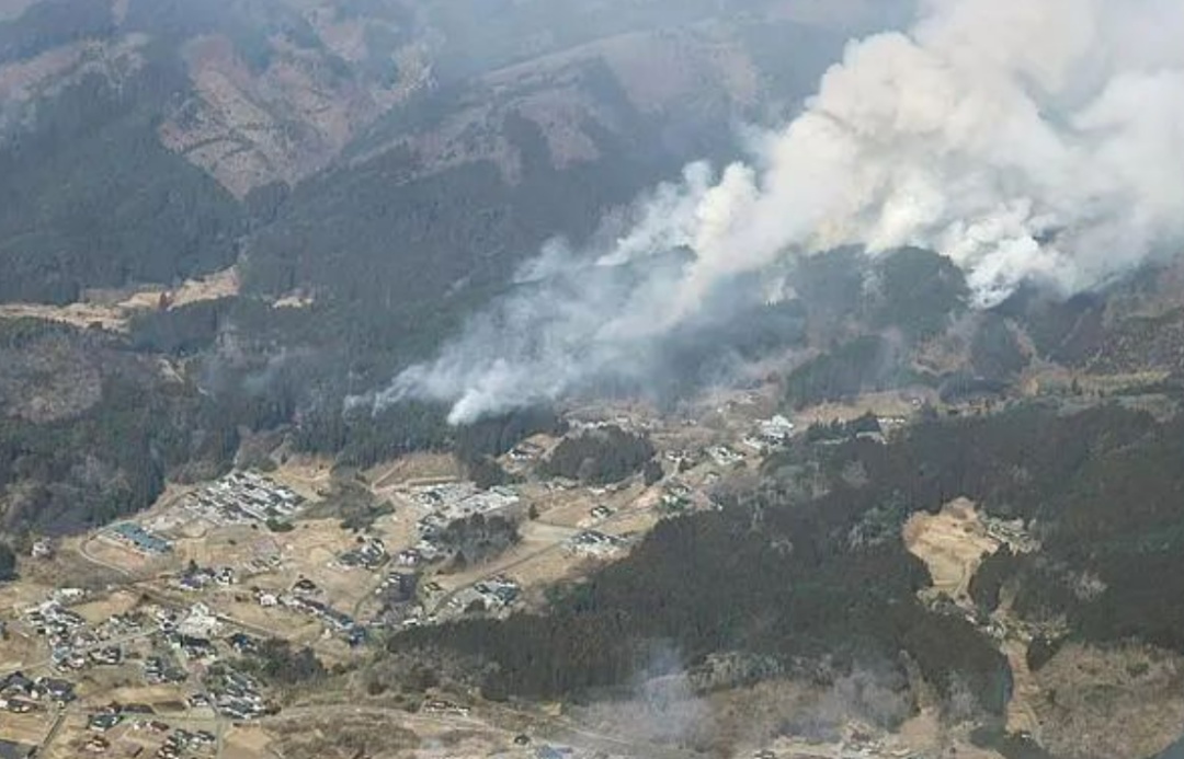 日本发生30多年来最大规模山火