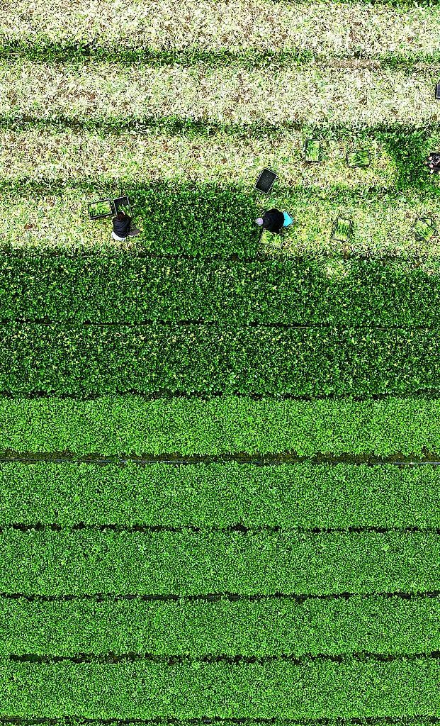 “龙抬头”，今晚将现身天空