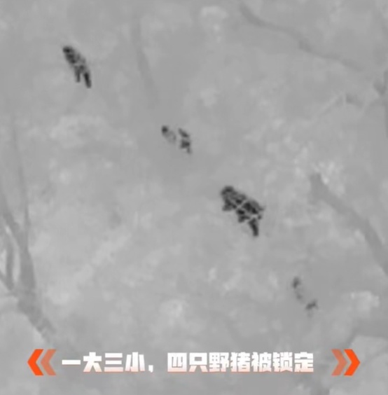 合肥大蜀山发出提醒 合肥大蜀山发出提醒