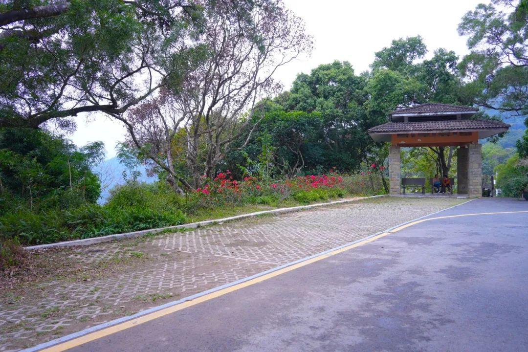 今天起试行！深圳一知名景区公告