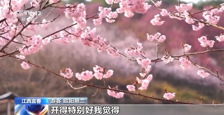 风和日暖 春天就该徜徉在花海里~ 风和日暖 春天就该徜徉在花海里~