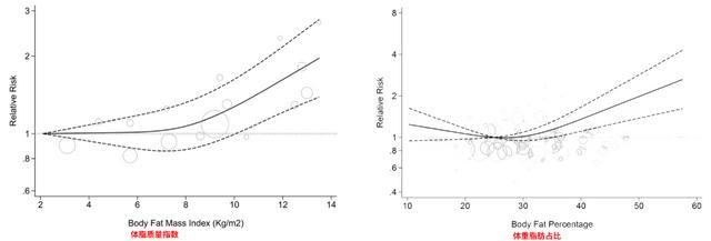 被人嫌弃的脂包肌，其实才是最好的身材！