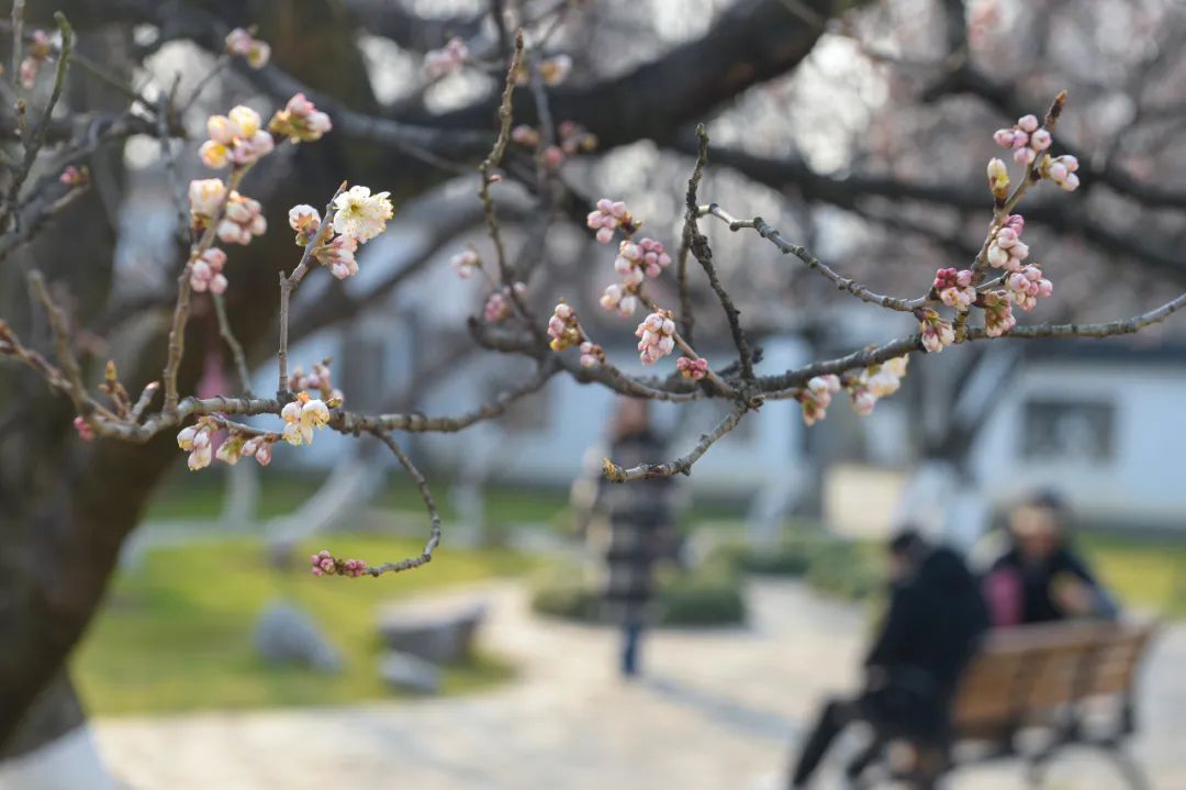 每天走多少步最好? 每天走多少步最好?