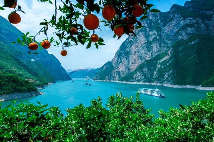 爆火刷屏的“小狗山”大揭秘！附打卡攻略