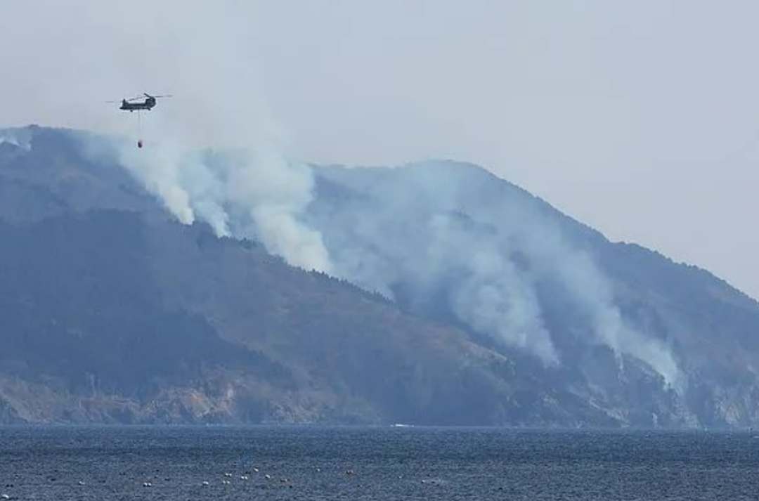 日本发生30多年来最大规模山火