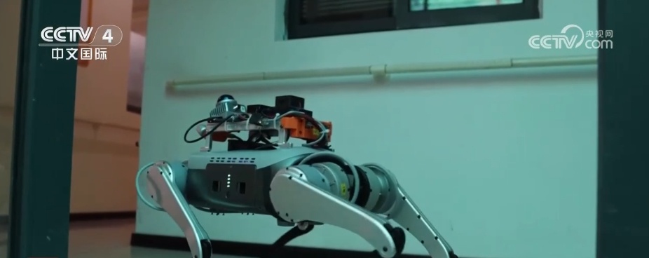 银发经济活力迸发 “AI+养老”助力银发族“智”享“夕阳红” 银发经济活力迸发 “AI+养老”助力银发族“智”享“夕阳红”