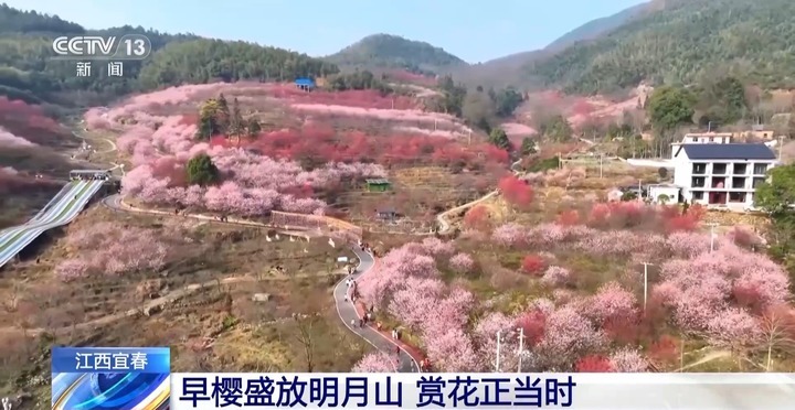 风和日暖 春天就该徜徉在花海里~ 风和日暖 春天就该徜徉在花海里~