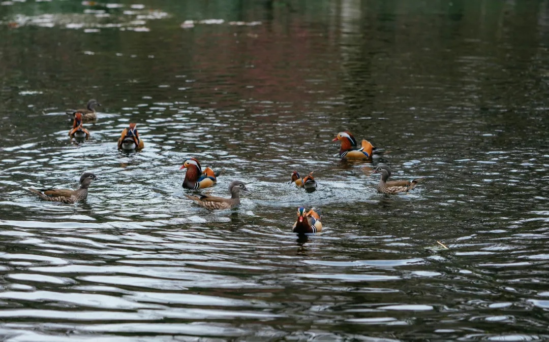 刚刚确认,明天冲击31℃!紧接着暴跌!杭州人挺住,这波很猛... 刚刚确认,明天冲击31℃!紧接着暴跌!杭州人挺住,这波很猛...