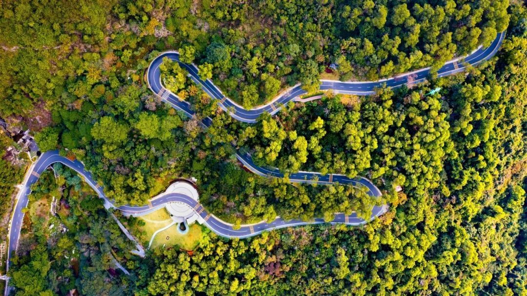 今天起试行！深圳一知名景区公告