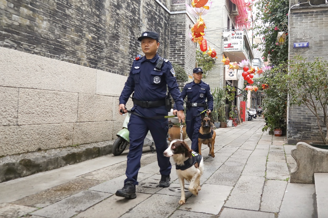 搜救三天两夜！广州番禺“汪汪特工队”上演现实版《警犬奇兵》