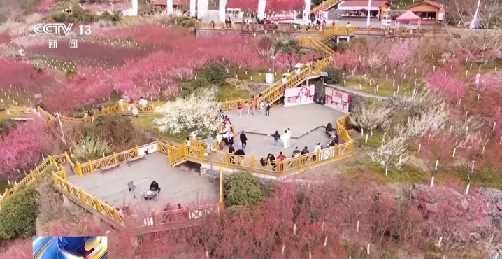 风和日暖 春天就该徜徉在花海里~ 风和日暖 春天就该徜徉在花海里~