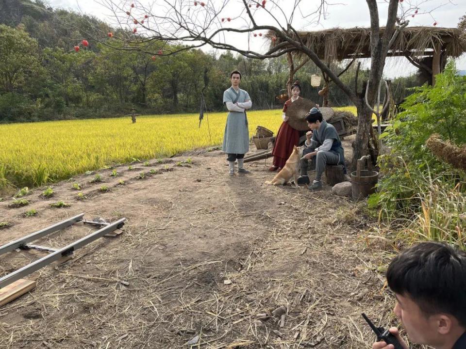 浙江一只小黄狗，搭档男星成毅火了！