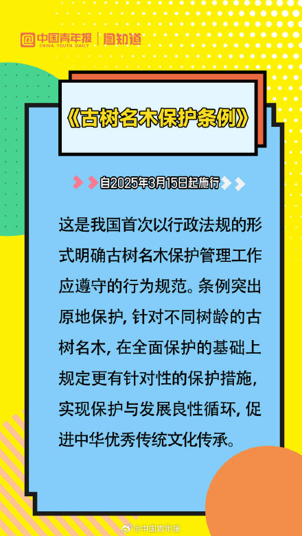 转存！3月起施行这些新规值得关注