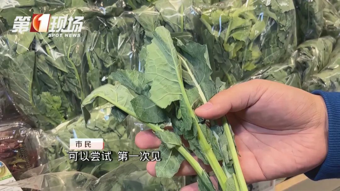 突然火了!这道菜和板蓝根重名?医生提醒 突然火了!这道菜和板蓝根重名?医生提醒