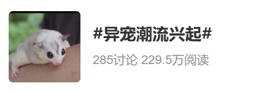 关于土拨鼠、卡皮巴拉这些宠物“新贵”，国家卫健委发声！