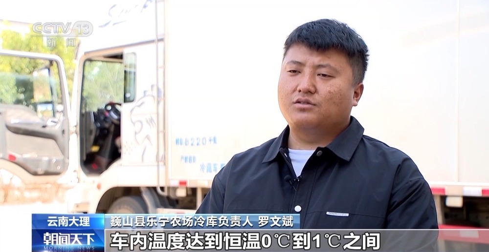 “舌尖上的春天”你尝到了吗？一起看春菜抢“鲜”之旅