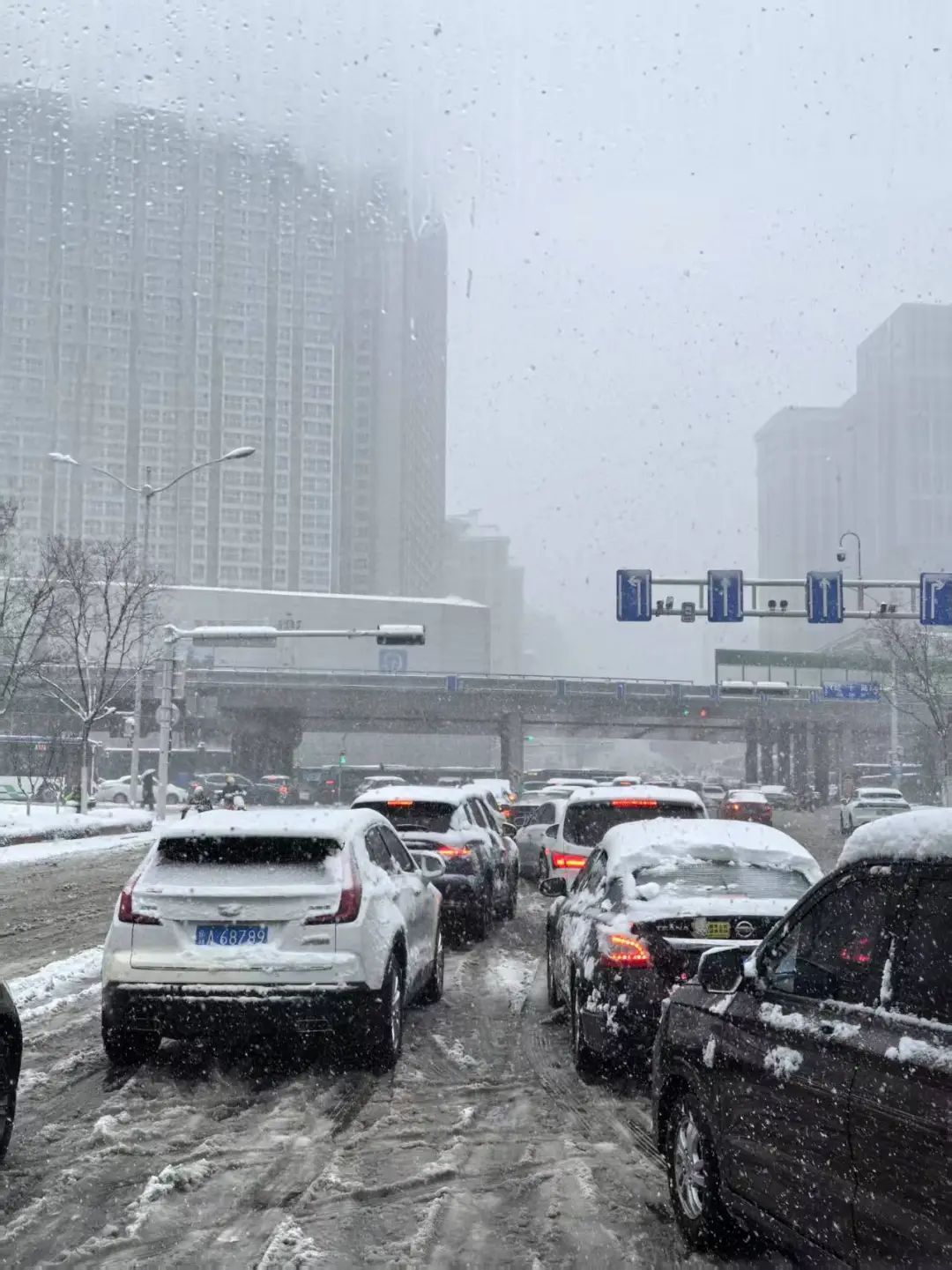 “三个小时下了一年多的雪”，山东双橙预警！这个市中小学明日停课一天
