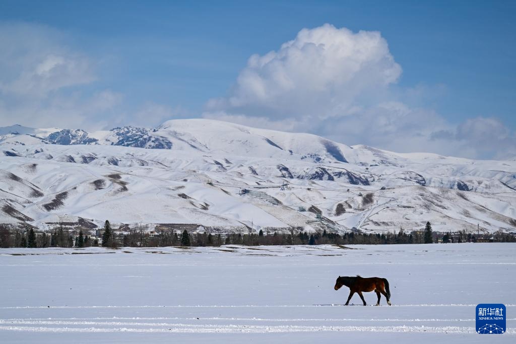 美丽中国丨那拉提雪景 美丽中国丨那拉提雪景
