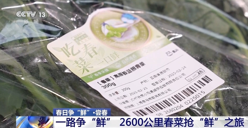 “舌尖上的春天”你尝到了吗？一起看春菜抢“鲜”之旅