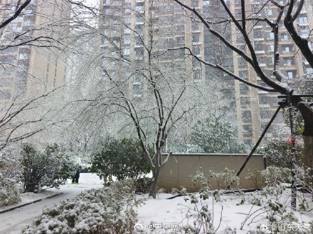 山东多地升级发布暴雪红色预警 山东多地升级发布暴雪红色预警