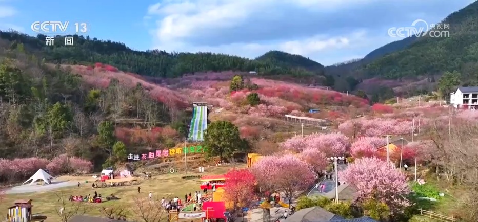 赏一片花海 邂逅春日浪漫 解锁一场春天里的闲适之旅 赏一片花海 邂逅春日浪漫 解锁一场春天里的闲适之旅
