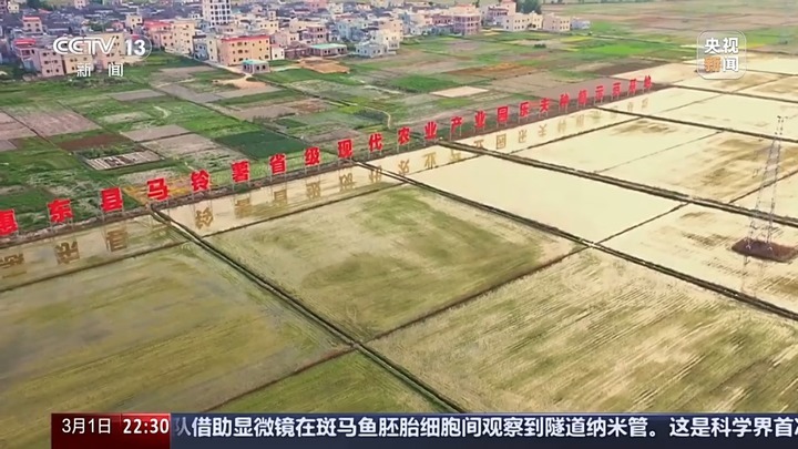 流汗农业→智慧农业 多维度看中央一号文件里的关键字“融”